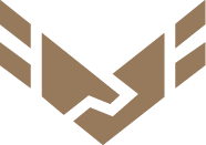 POINT Strategy Consulting Logo of Bronze Wings